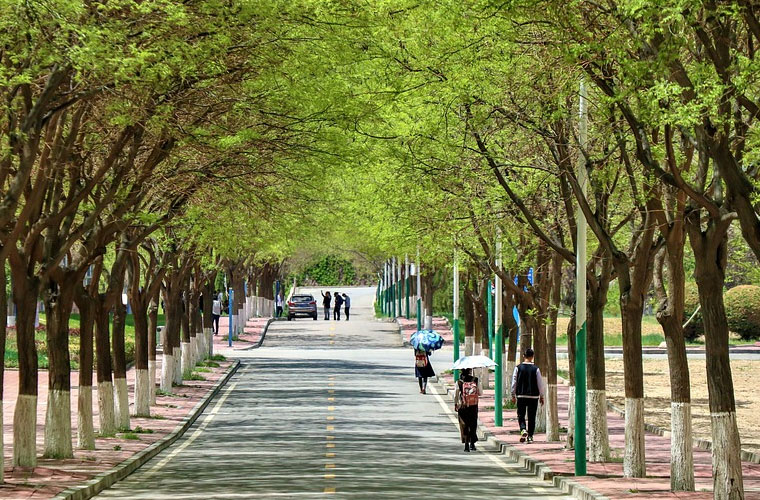 重庆机电职业技术大学国际艺术学院2022年招生计划
