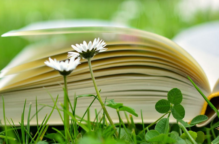 四川省开江县职业中学各专业收费标准