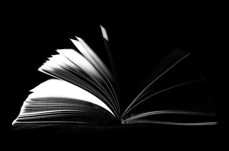 牟定县职业高级中学2022年录取分数线