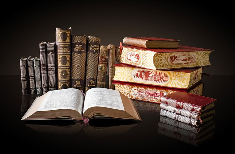 贵州经贸职业技术学院2022年分数线