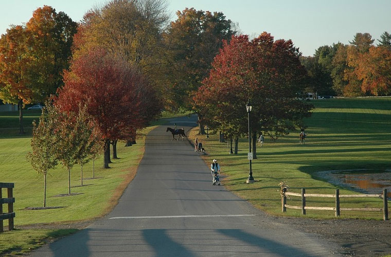 四川省国防教育学院南充校区各专业收费 四川省国防教育学院南充校区各专业收费