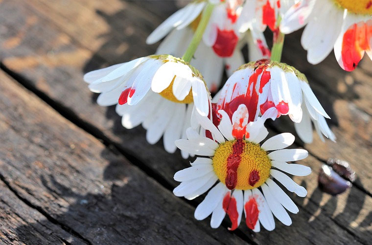 永仁县职业高级中学2022年录取分数线