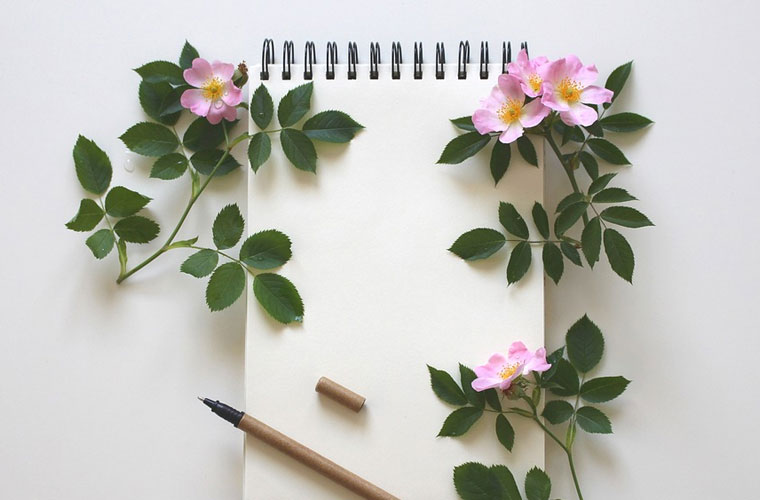 福泉市中等职业学校2022年分数线