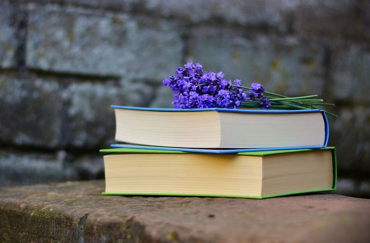 重庆电子工程职业学院2022年录取分数线