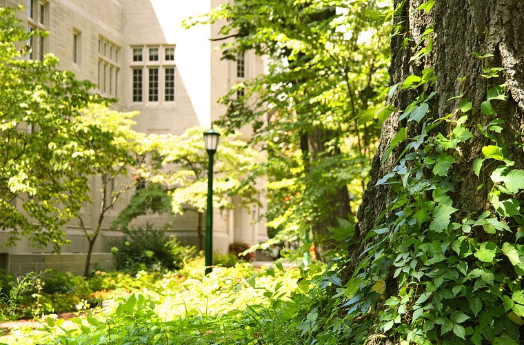 重庆轻工职业学院2022年分数线