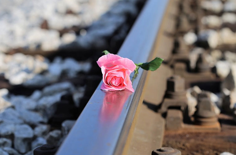 贵阳市白云区职业技术学校各专业收费标准