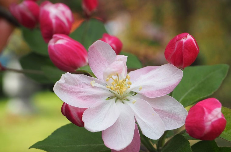 凯里市第一中等职业学校春招报名时间