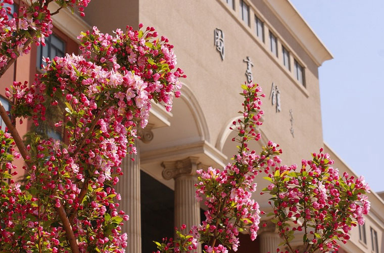 余庆县中等职业学校2022年录取分数线