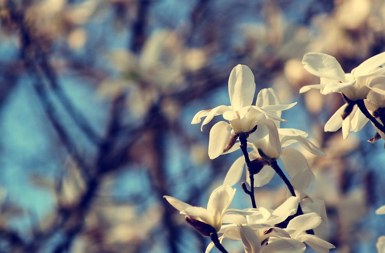 贵阳精工科技学校各专业收费多少